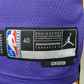 Camisa NBA Lakers #39 Howard Purple 75° Aniversário- 23/24
